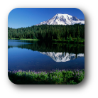 PHÖNIX Antitox Tropfen