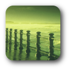 PHÖNIX Lymphophön Tropfen