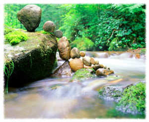 PHÖNIX Entgiftungstherapie